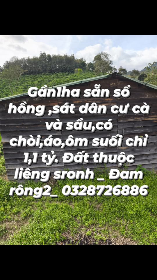 Đất nền Liêng Sronh Đam Rông 10.000m² giá chỉ 1.1 tỷ - Sổ hồng chính chủ!