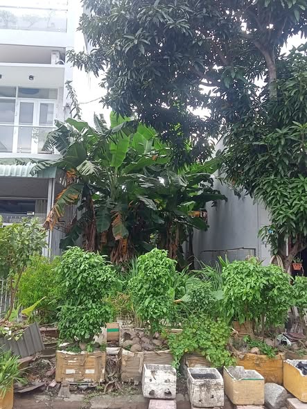 Đất nền đường Số 31, Phú Thứ, Cái Răng, Cần Thơ - Sổ hồng chính chủ, giá 3.15 tỷ!