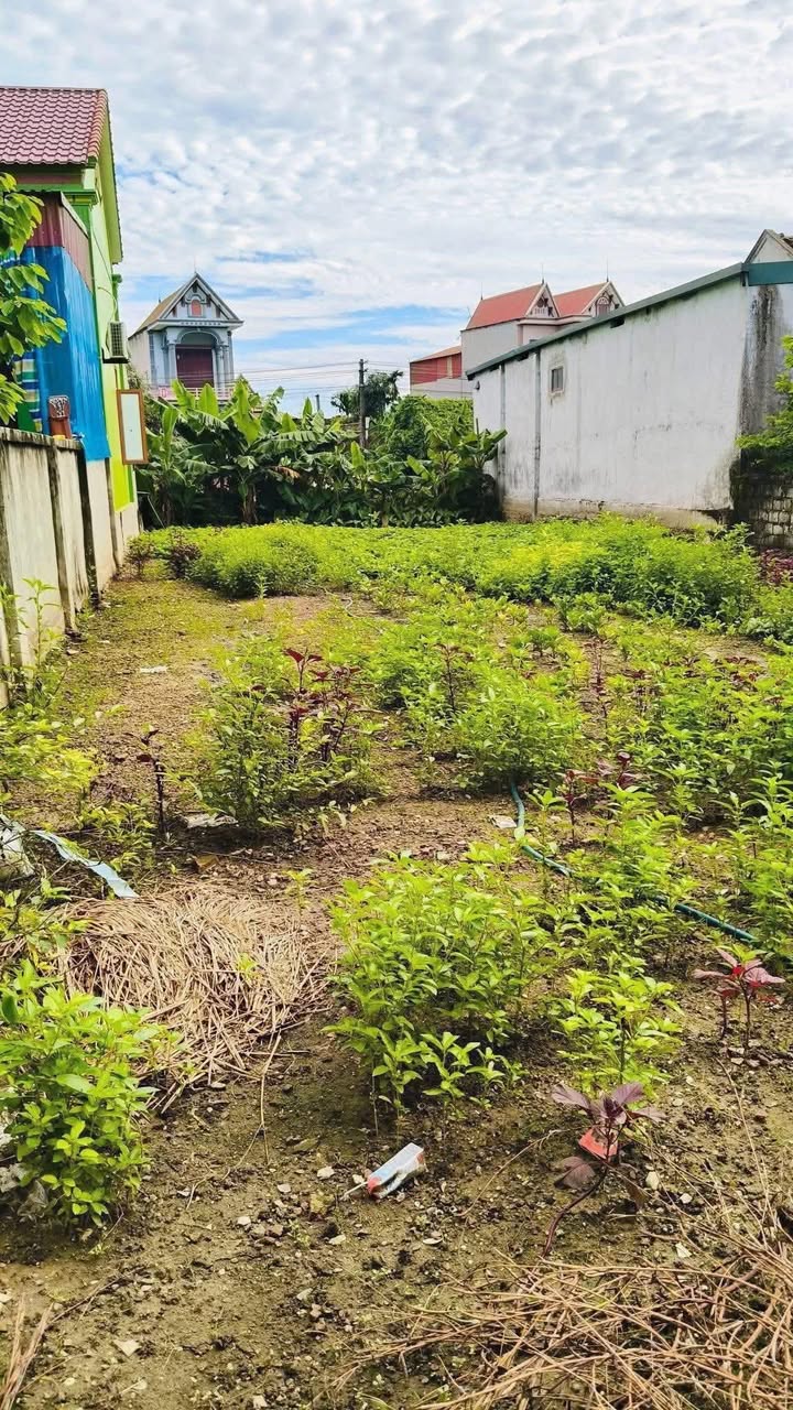 Đất nền Hòa Lộc, Thanh Hóa 262m² - Bán gấp, giá thương lượng!