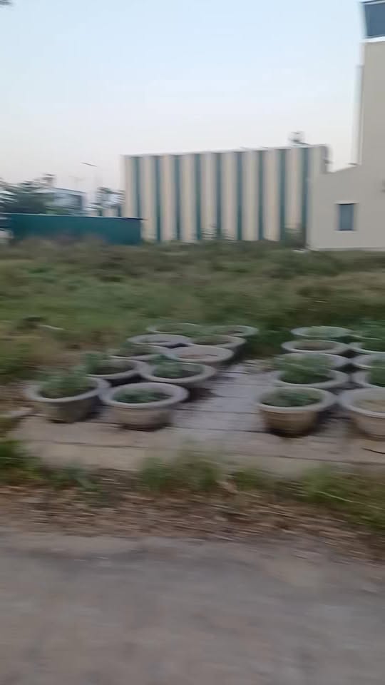 Đất nền Khu dân cư vườn sùi Sông Vệ 100m² giá 750 triệu - Cơ hội đầu tư hấp dẫn!