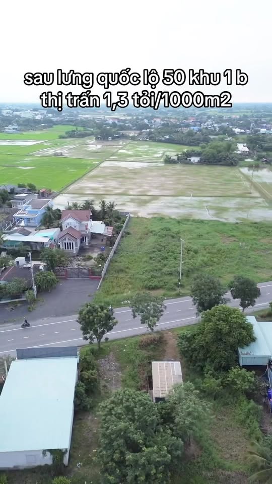 Đất lúa 1000m² tại Thị trấn Cần Đước giá 1,3 tỷ - Cơ hội đầu tư tuyệt vời!