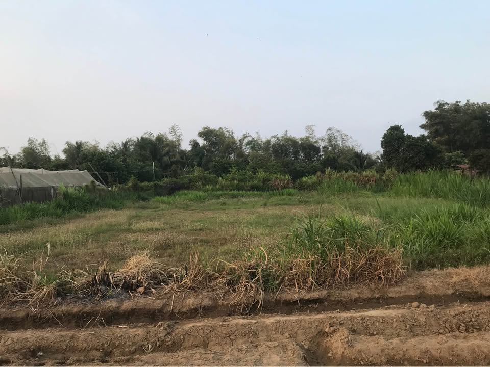 Đất nền Ninh Quý 1, Phước Sơn 700m² giá 290 triệu - Tiềm năng sinh lời cao!