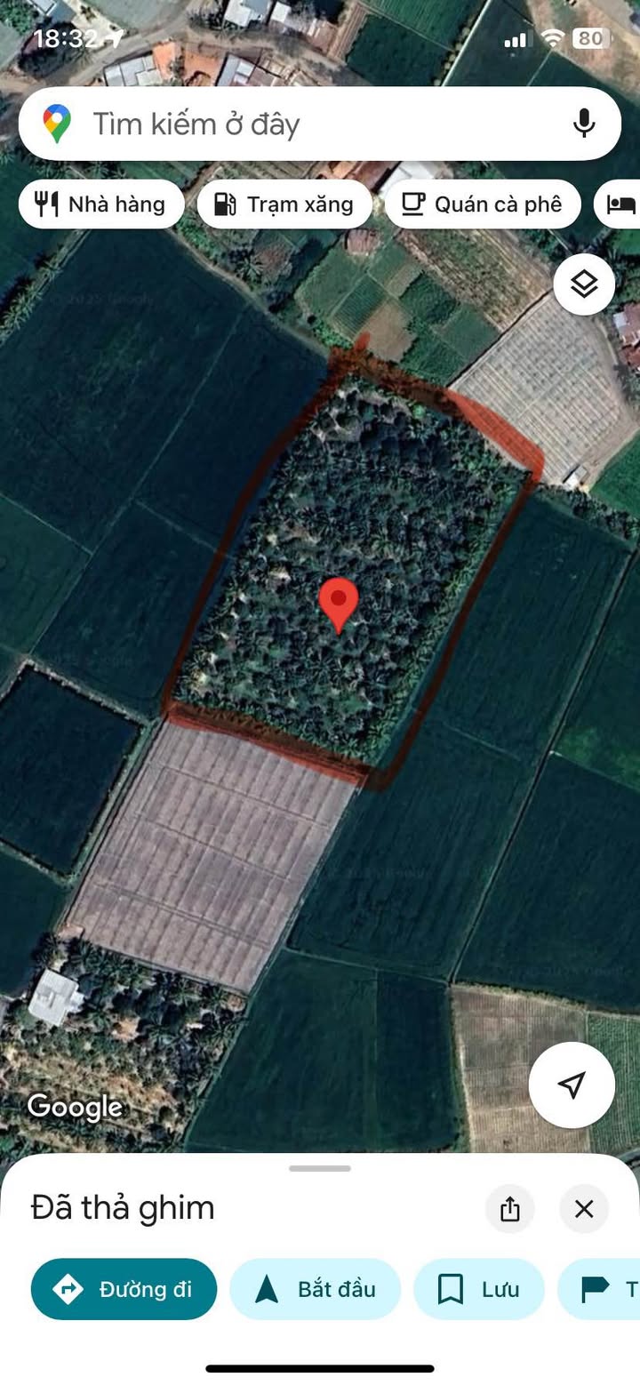 Bán vườn bưởi Ninh Quý 1, Phước Sơn 5964m² - Đầu tư sinh lời lý tưởng!