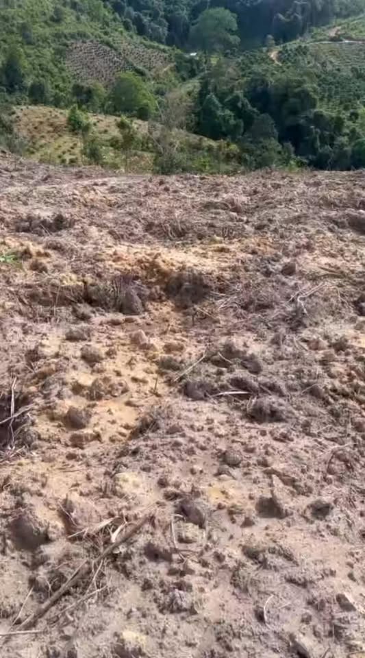 Đất nền 1ha xã Dliê Ya, huyện Krông Năng giá 400 triệu - Đầu tư sinh lời ngay!