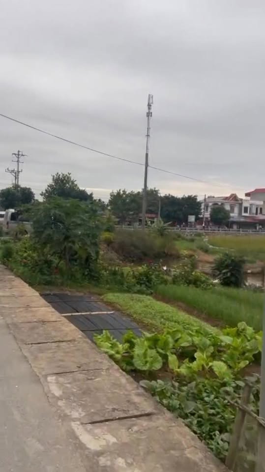 Đất kinh doanh tại Quỳnh Thọ, 100m² giá 2.3 tỷ - Cơ hội đầu tư tuyệt vời!