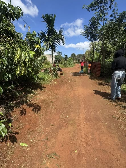 Đất nền thổ cư Xóm A, Cư Pơng, 300m² - Giá chỉ 1xx triệu, cơ hội đầu tư tuyệt vời!