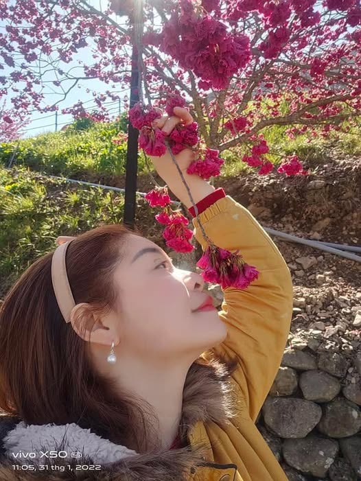 Đất nền Thanh Đình Việt Trì 400m² - Cơ hội đầu tư tuyệt vời!