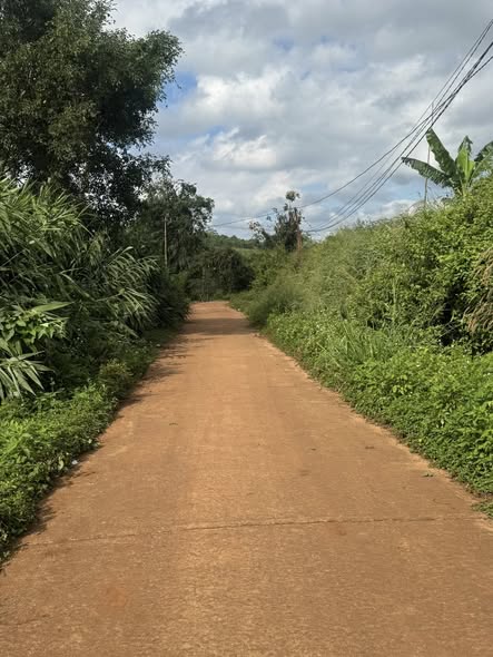 Đất thổ cư 450m² Cư Pơng giá chỉ 459 triệu - Cơ hội đầu tư tốt!