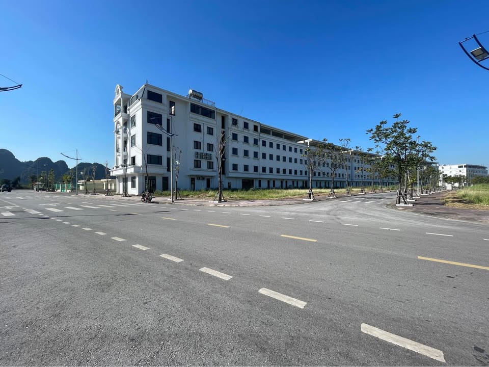 Đất nền góc ngã tư Tân Bình, Cẩm Phả 122,5m² giá 4 tỷ - Đầu tư sinh lời ngay!