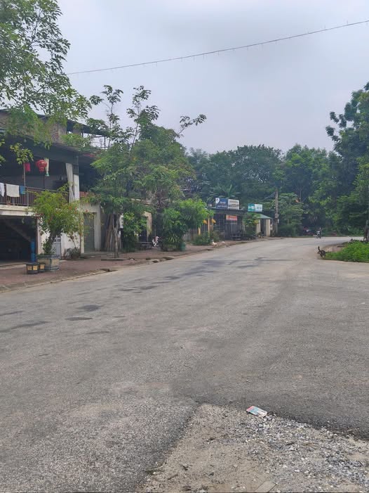 Đất nền thôn 3, xã Lưỡng Vượng, 265m² giá 1.36 tỷ - Cơ hội đầu tư tuyệt vời!