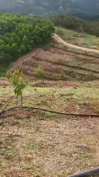 Đất nền Đạ Ploa, Đạ Huoai 7000m² giá 950 triệu - Sổ hồng chính chủ!