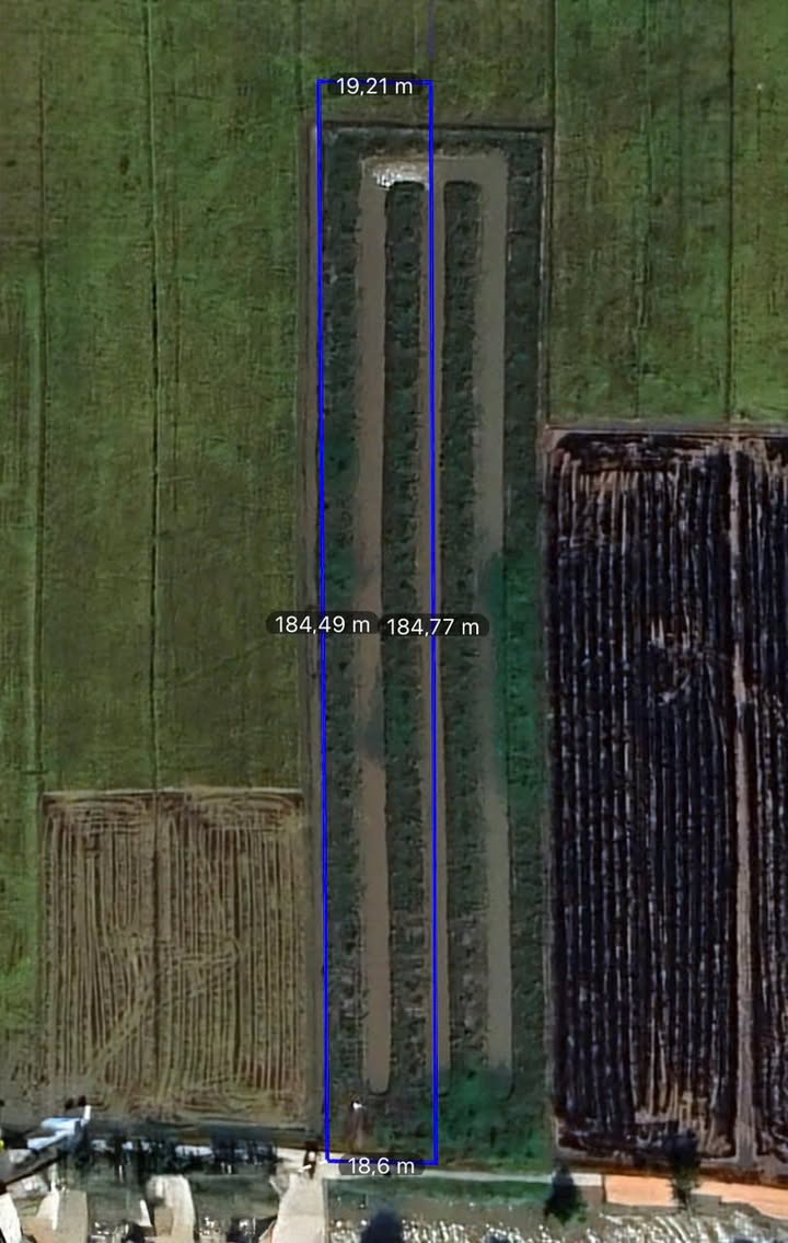 Đất mặt tiền 3500m² tại Thới Tân, Cần Thơ - Giá chỉ 1.15 tỷ, thương lượng chính chủ!