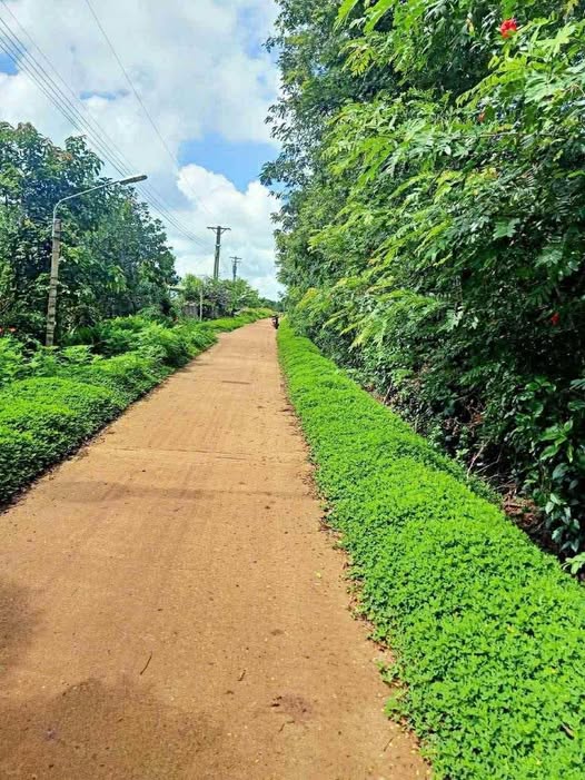 Đất nền Phú Xuân Krông Năng 288m² giá 390 triệu - Sổ đỏ chính chủ