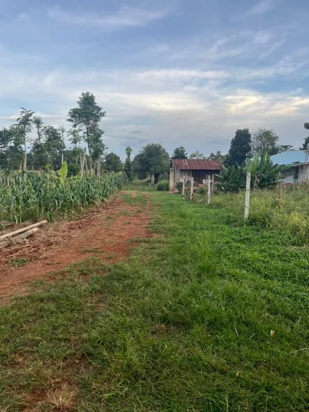 Đất nền thổ cư 125m² tại thôn 3 Cư Suê - Giá chỉ 379 triệu!