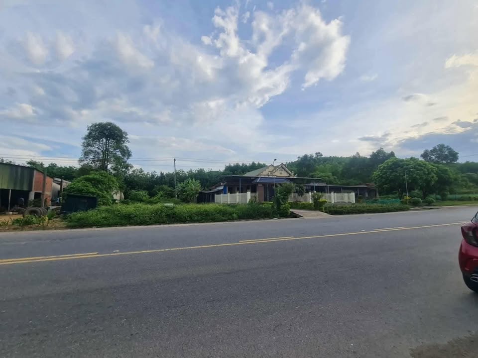 Đất mặt tiền Quốc lộ 9 Cam Lộ 163.5m² giá chỉ 500 triệu - Đầu tư sinh lời ngay!