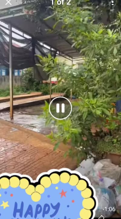 Đất nền Dliê Ya 150m² giá 4 tỷ - Sẵn nhà cấp 4 và bãi rửa xe