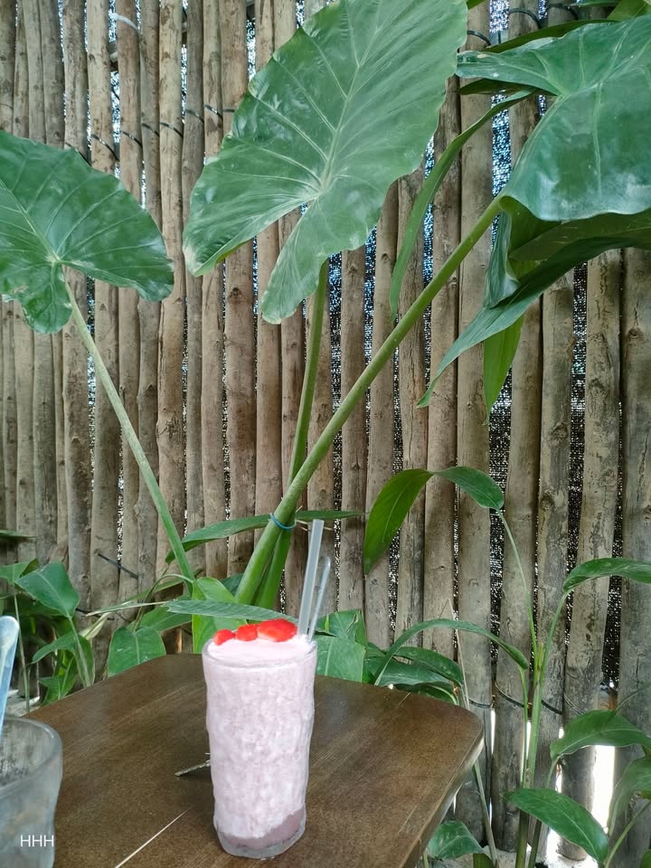 Đất nền Thôn Tân Thọ, Duy Châu, 270m² giá chỉ 400 triệu - Cơ hội đầu tư tuyệt vời!