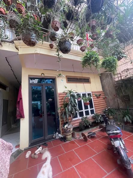 Đất nền Lĩnh Nam, Hoàng Mai 65m² giá chỉ 10.4 tỷ - Sổ đỏ chính chủ, giao ngay!