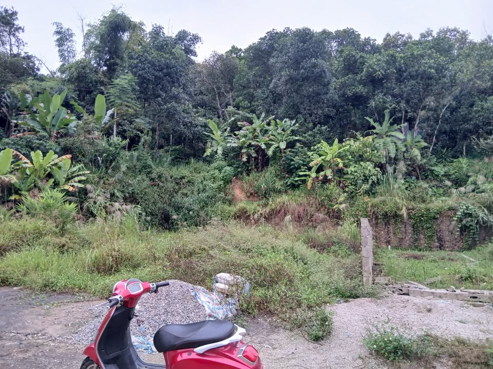 Đất nền Hòa Chung 81m² giá 800 triệu - Đầu tư sinh lời hấp dẫn!