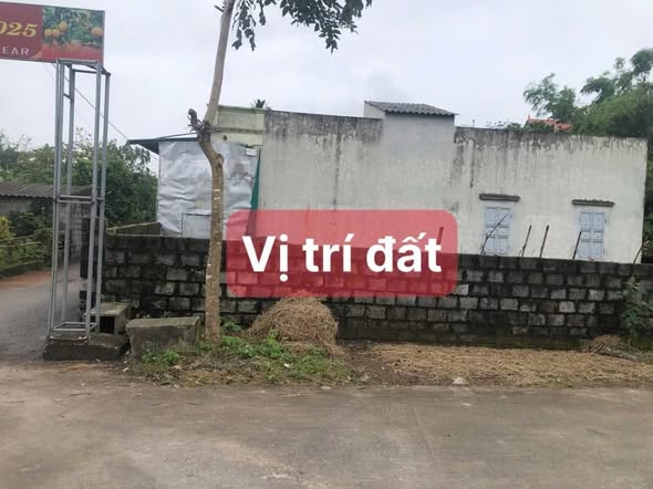 Đất nền Tiên Hải 80m² giá 2,5 tỷ - Lô góc 2 mặt tiền đẹp tuyệt vời!