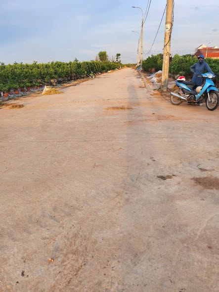 Đất lô góc 139m² tại Hoàng Trạch, Mễ Sở - Giá chỉ 4 triệu/m², cơ hội đầu tư tốt!