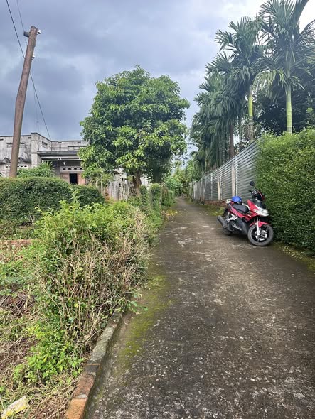 Đất nền Tân Lập Buôn Ma Thuột 125m² giá 780 triệu - Đầu tư ngay để giữ giá trị!