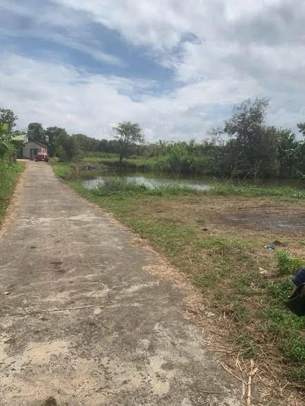 Đất nền 4 sào 2 Ea Kao, Buôn Ma Thuột chỉ 1.95 tỷ - Đường bê tông vào tận nơi!