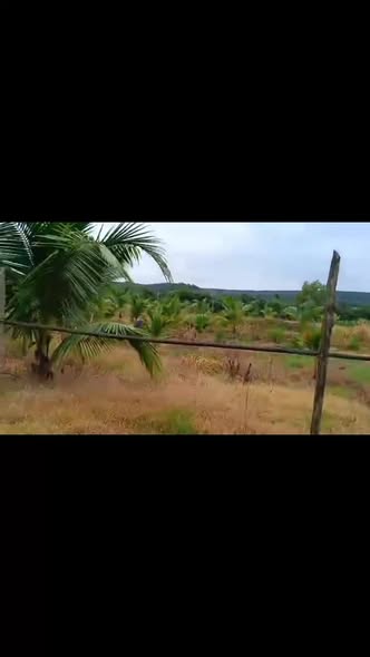 Đất nền Đa Kia 8000m² giá 1 tỷ - Cơ hội đầu tư tiềm năng!