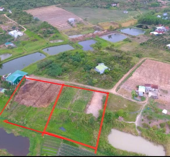 Đất nền Cư Ni Ea Kar 14,400m² giá 700 triệu - Mặt tiền 100m siêu đẹp!