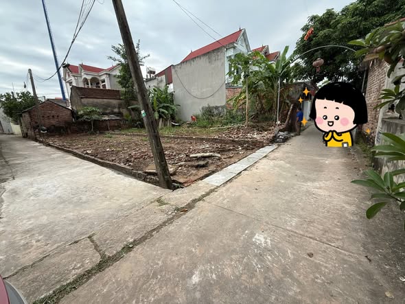 Đất nền lô góc Đào Viên, Quế Võ 88m² giá 1 tỷ - Đầu tư sinh lời ngay!