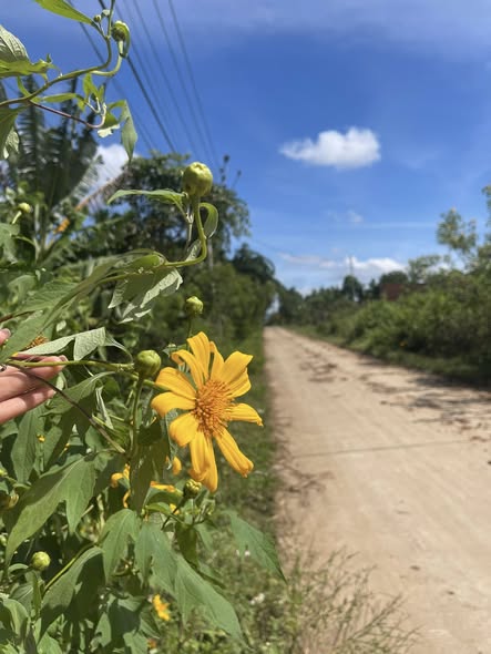 Đất nền chính chủ tại Ea Ktur, Cư Kuin 400m² giá chỉ 799 triệu - Cơ hội đầu tư tuyệt vời!