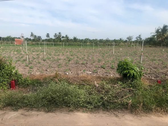 Đất nền Suối Đá Dương Minh Châu 150m² giá 270 triệu - Đường lớn dễ dàng tiếp cận!