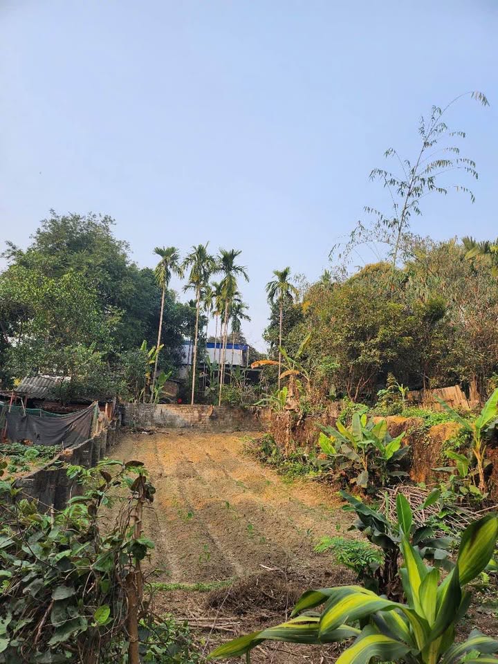 Lô đất 260m² tại Cam Giá, Thái Nguyên - Vị trí đắc địa, giá thỏa thuận!