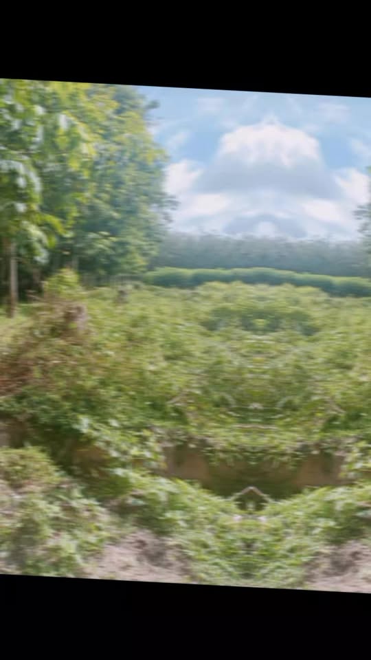 Đất thổ cư 360m² giá 150 triệu - Cơ hội đầu tư không thể bỏ lỡ!