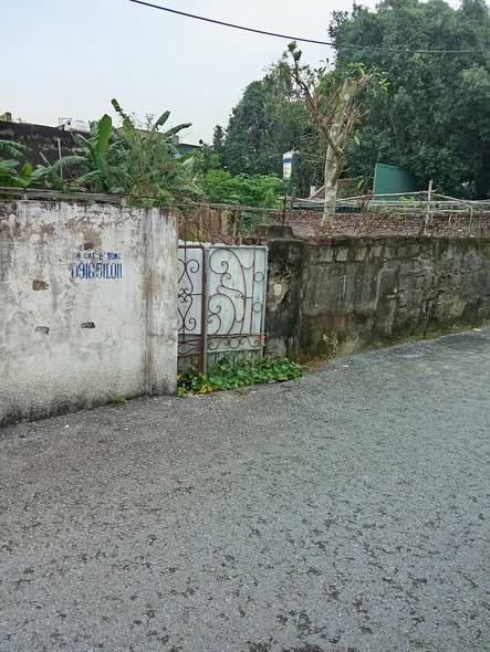 Đất nền Quảng Tiến Sầm Sơn 50m² giá thỏa thuận - Mặt tiền kinh doanh đắc địa!