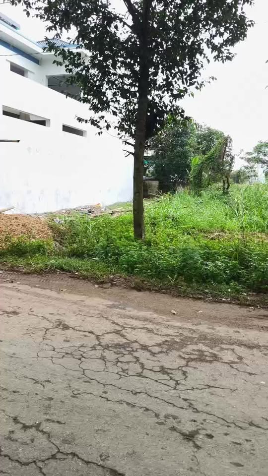 Đất nền Nghĩa Hưng Nghệ An 160m² giá 2 tỷ - Đường quy hoạch 20m, đầu tư sinh lời!