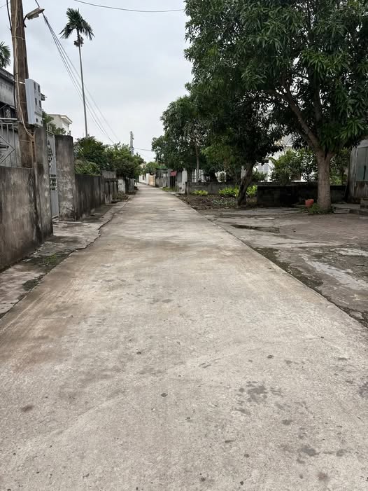 Đất nền Nam Trung Tiền Hải 102m² giá thỏa thuận - Tiện ích đầy đủ cho cuộc sống!