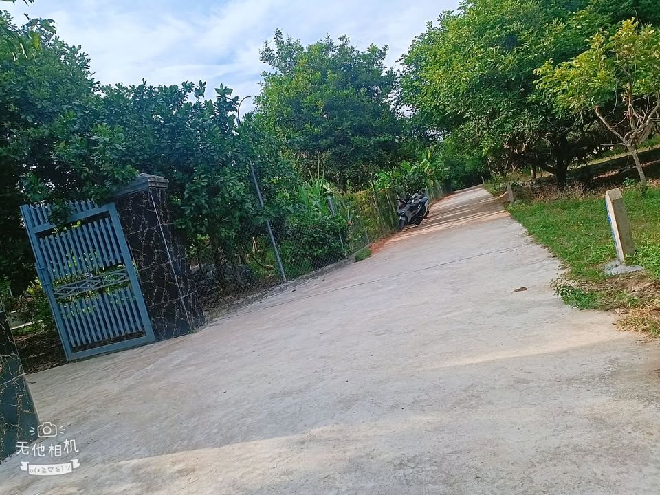 Đất thổ cư Xã Diên Lâm 200m² giá chỉ 5 triệu - Sổ hồng đầy đủ!