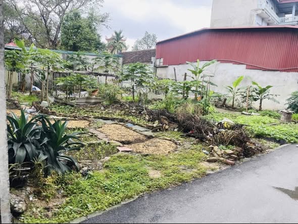 Đất nền Vĩnh Thọ, Từ Sơn 112m² giá 1 tỷ - Đường ô tô thông thoáng!