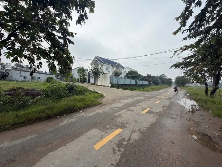 Đất trồng cây Tân Hiệp Hóc Môn 4138m² giá 21.5 tỷ - Đầu tư lợi nhuận cao!