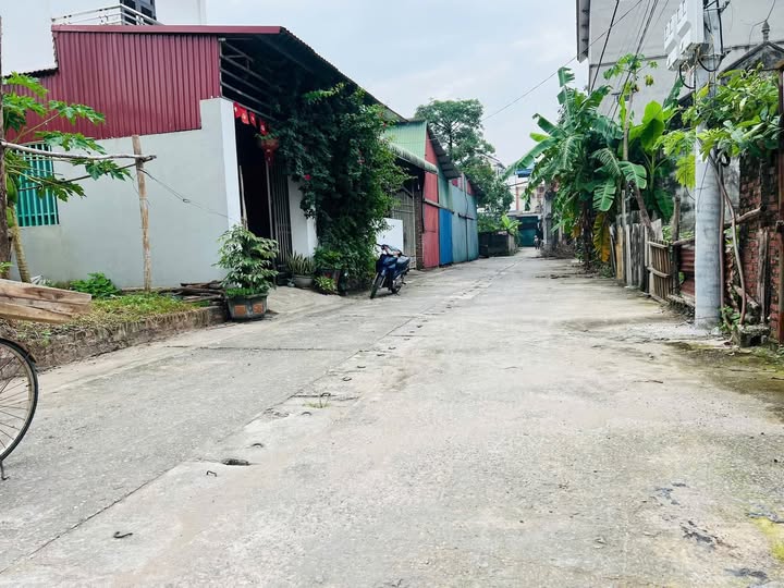 Đất nền 150m² tại Thụy Lâm, Đông Anh - Giá chỉ 5 triệu/m², không thể bỏ lỡ!