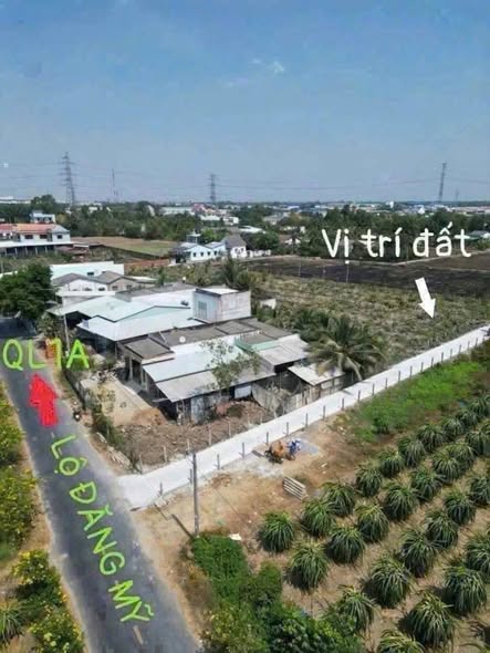 Đất thổ cư ấp Bình Tây, Tân Bình, 181m² giá 790 triệu - Chính chủ bán gấp!