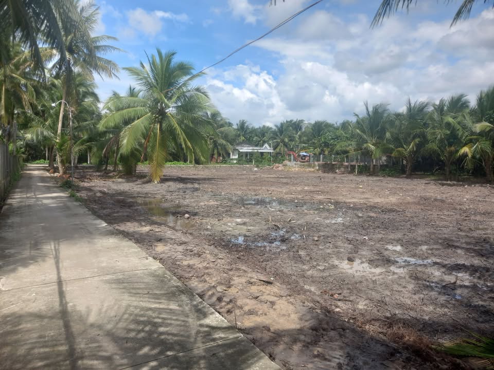 Đất nền chính chủ xã Bình Trưng 150m² giá 300 triệu - Cơ hội đầu tư hấp dẫn!