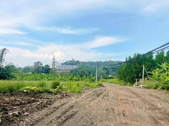 Đất nền Gia Tân 1, Thống Nhất 8311m² - Sổ hồng riêng, vị trí đắc địa!