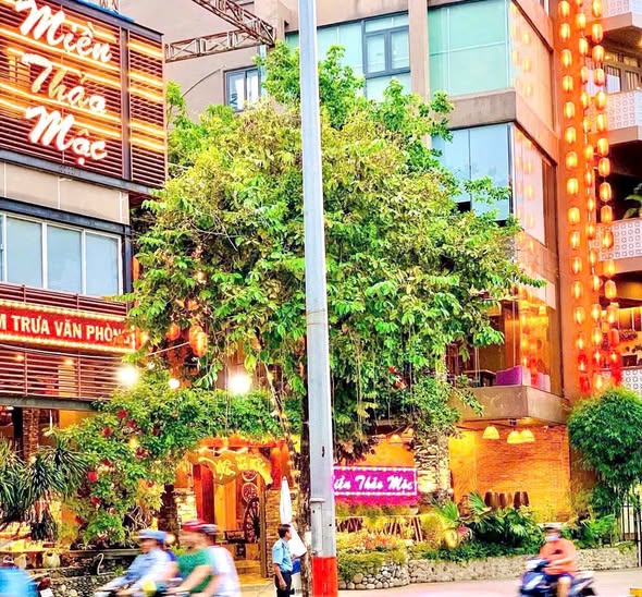 Bán gấp FrontHouse mặt tiền đường Minh Phụng, Quận 11 - Diện tích 67m², chỉ 18.8 tỷ!