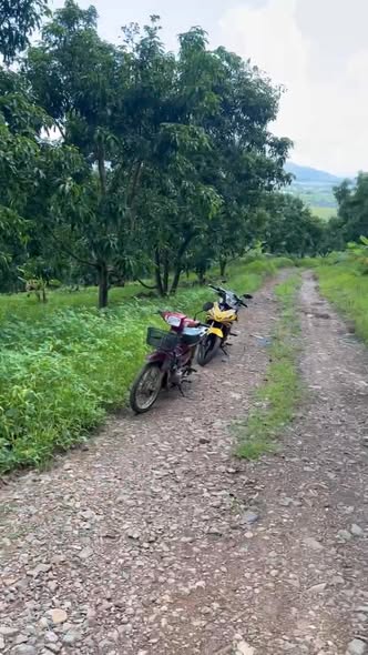 Đất Farm Diên Lâm, Diên Khánh 7500m² chỉ 410 triệu - Cơ hội đầu tư tuyệt vời!