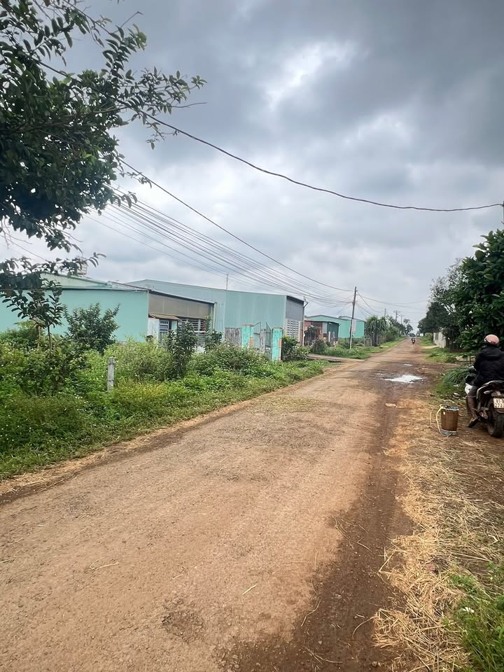 Đất mặt tiền Tô Hiệu, Pleiku 240m² giá 1.4 tỷ - Đầu tư sinh lời ngay!