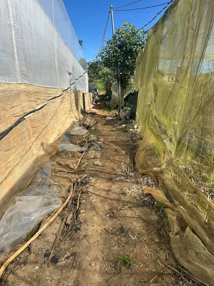 Đất thổ cư 1 sào tại xã Quảng Lập, Đơn Dương - Giá 1.1 tỷ, sẵn sàng xây dựng!