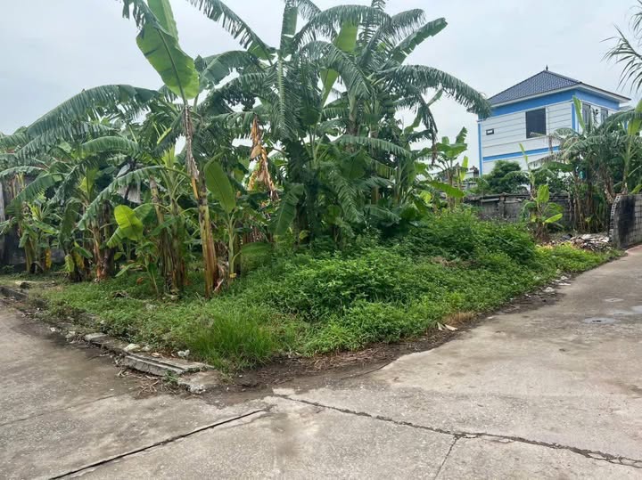 Đất nền Hồng Thái Kiến Xương 80.8m² giá 400 triệu - Cơ hội đầu tư hấp dẫn!