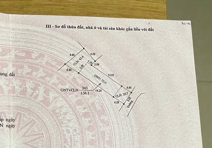 Đất nền Ngọc Mai, Chu Điện, Lục Nam 136m² giá 400 triệu - Cơ hội đầu tư tuyệt vời!